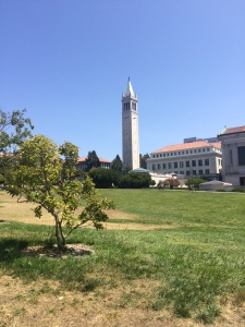 Stunning UC Berkeley campus